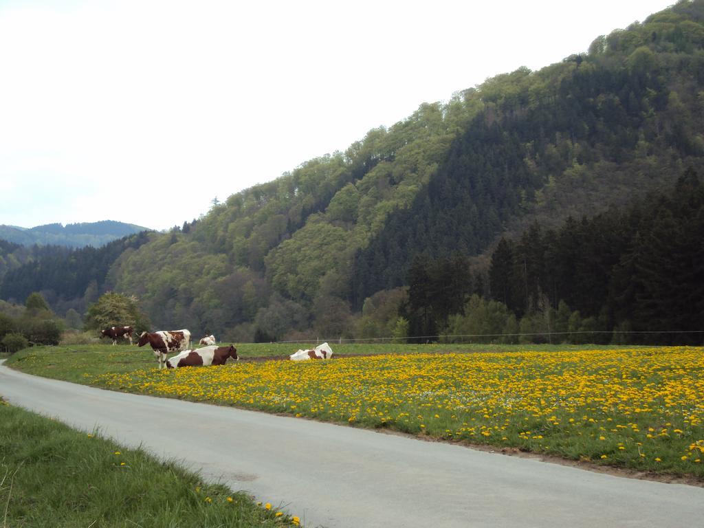 Gasthof Zum Diemeltal Marsberg Exterior photo